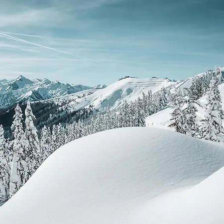 Apartment Bauernhof Birkhoefl By We Rent *